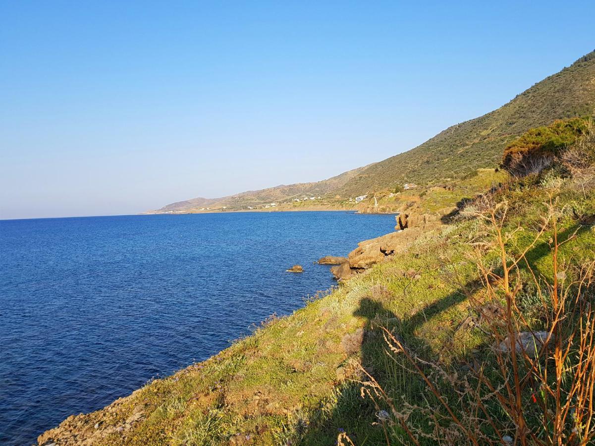 Seaclusion Vacation Villa Pomos Eksteriør bilde