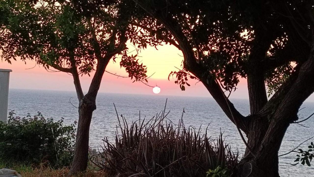 Seaclusion Vacation Villa Pomos Eksteriør bilde
